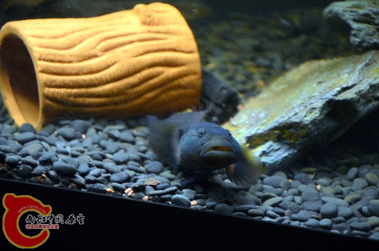 DSC_1381.jpg