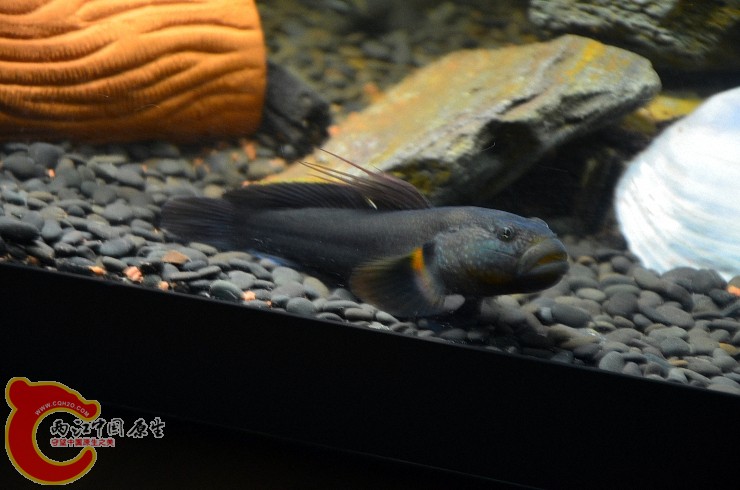 DSC_1383.jpg