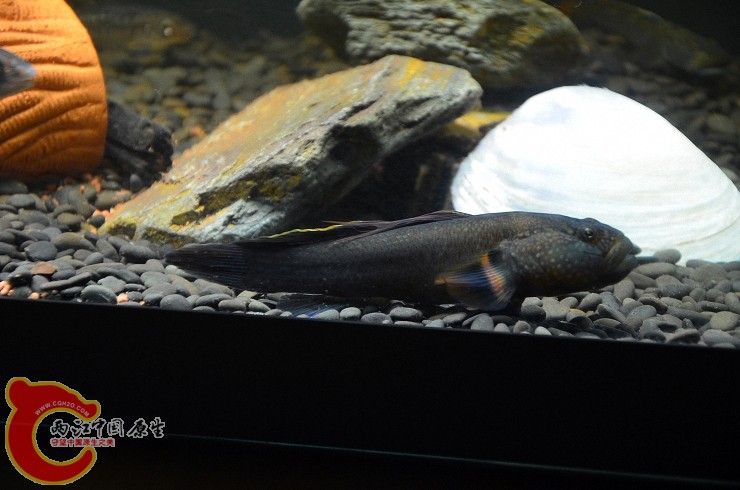 DSC_1399.jpg