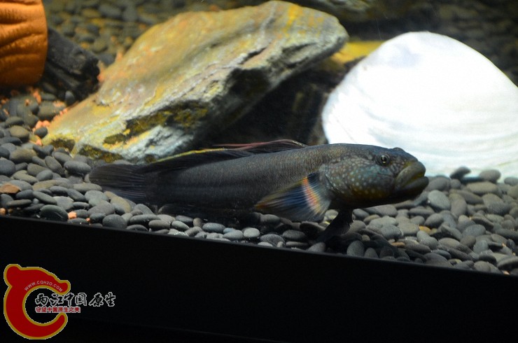 DSC_1440.jpg