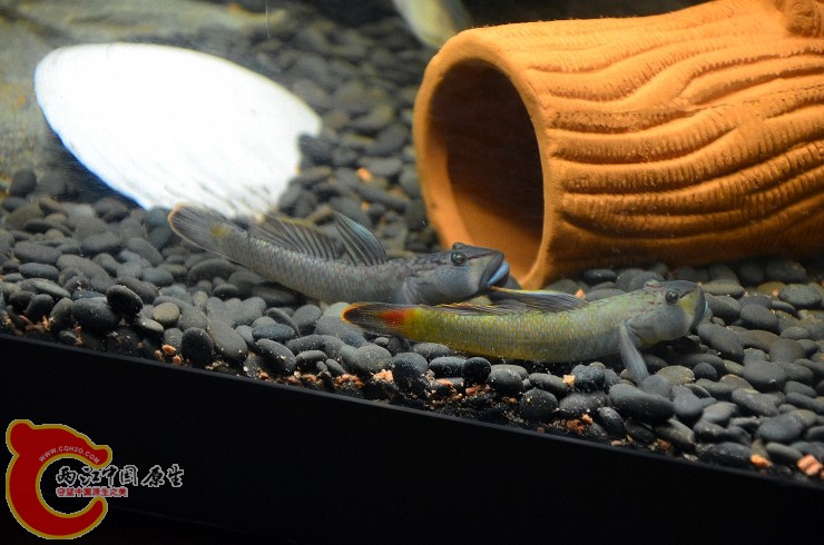 DSC_1444.jpg