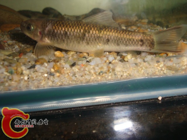 DSC06073.JPG