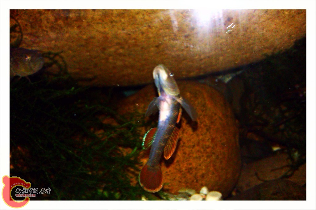 conew_imag0071-1.jpg