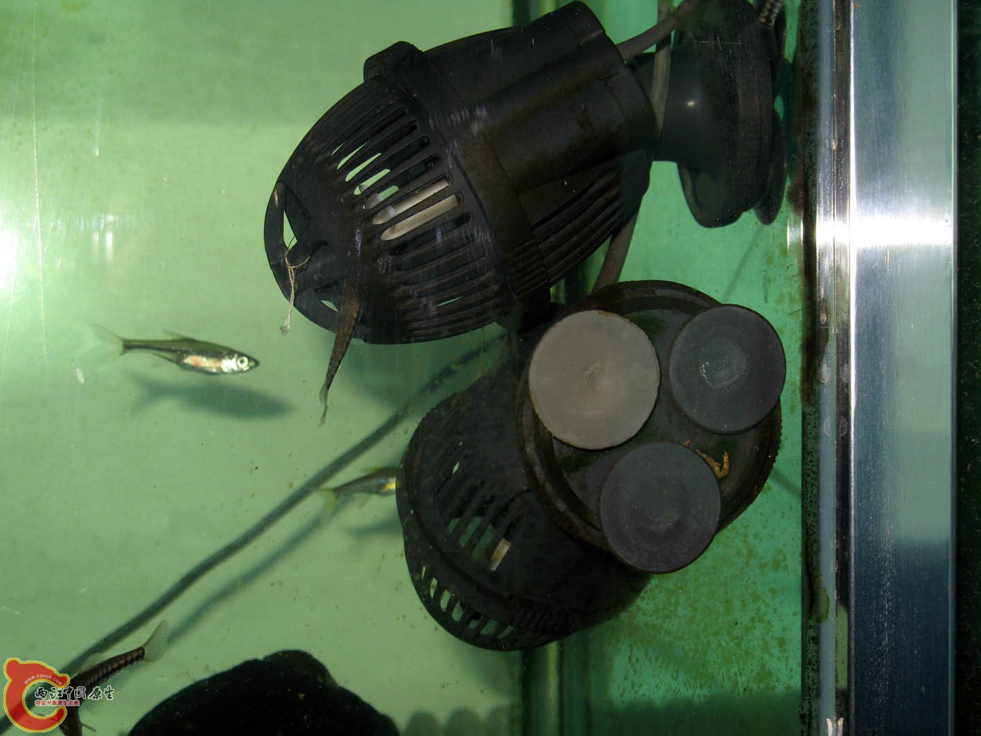 藏身之处全景！