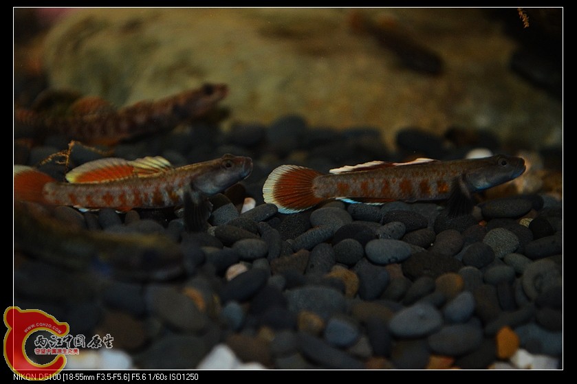 DSC_2186.jpg