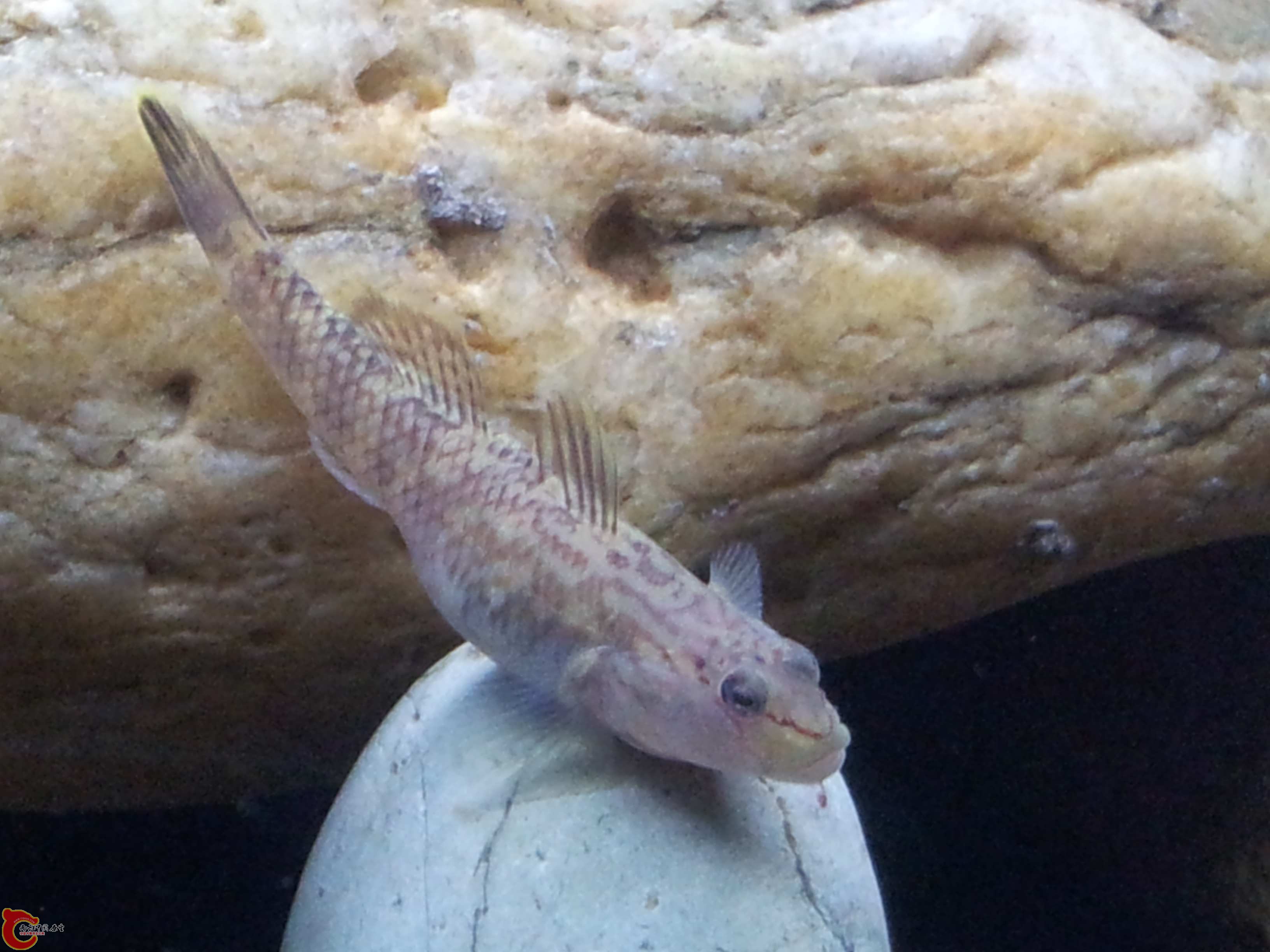 20130402_212145.jpg