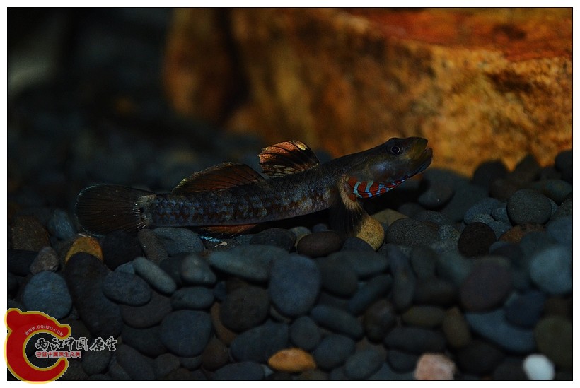 DSC_2192.jpg