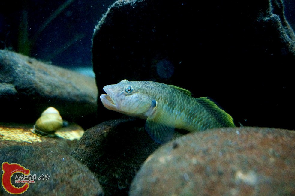 DSC00179_副本.jpg