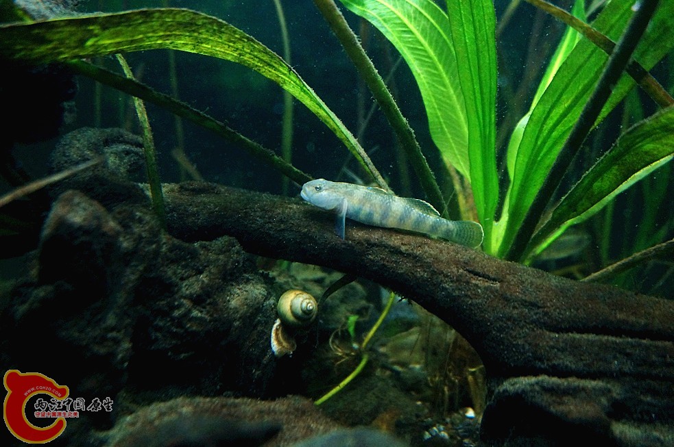 DSC00198_副本.jpg