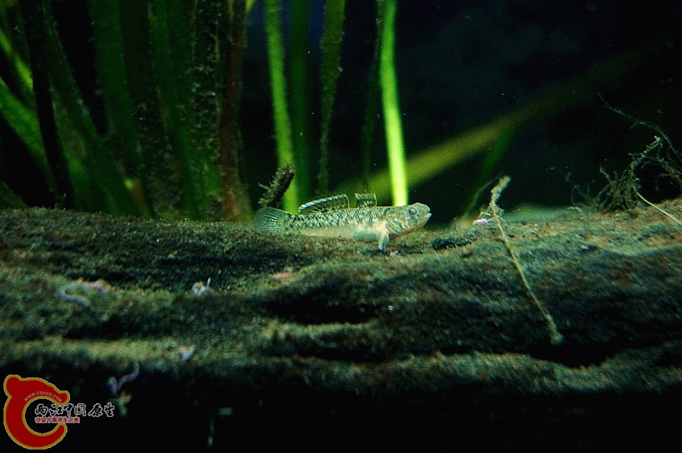 DSC00422_副本.jpg