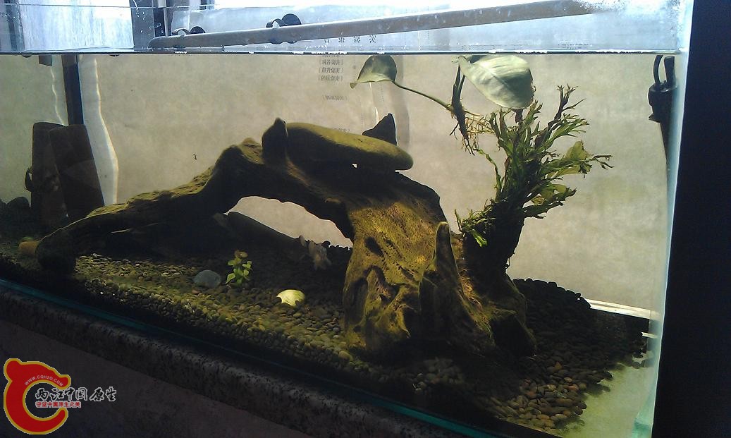 IMAG0819.JPG