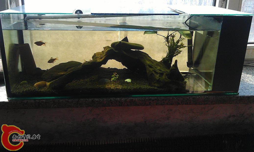 IMAG0810.JPG