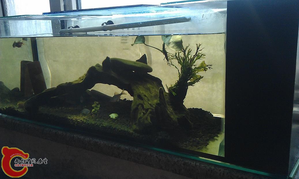 IMAG0814.JPG