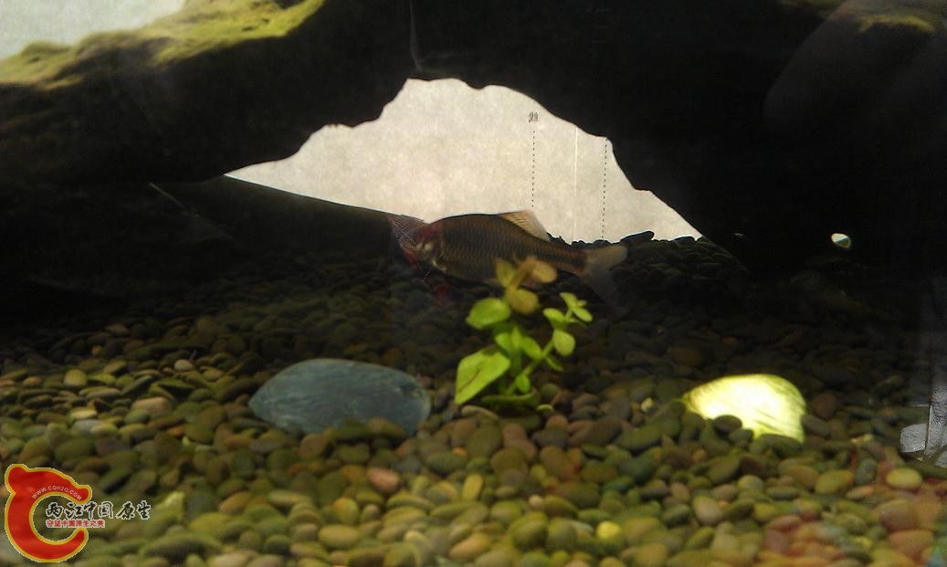 IMAG0818.JPG