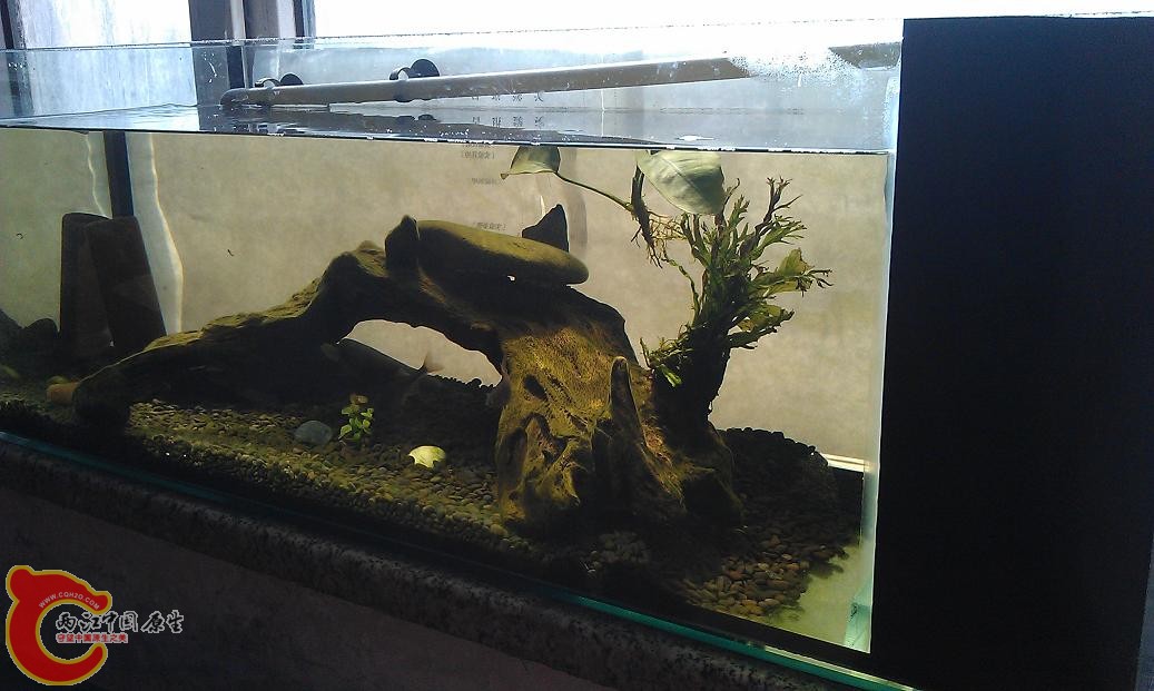IMAG0820.JPG