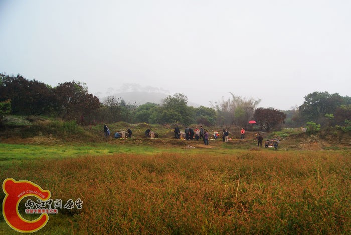08.jpg
