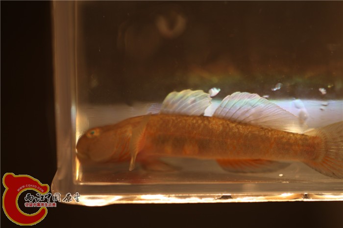 照片 066.jpg