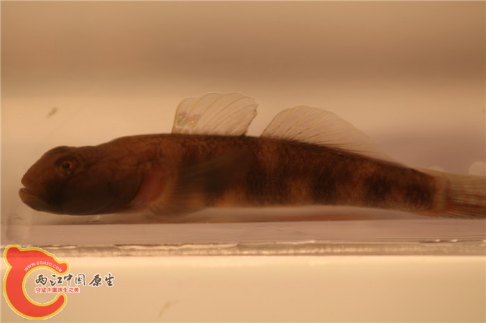 照片 012.jpg