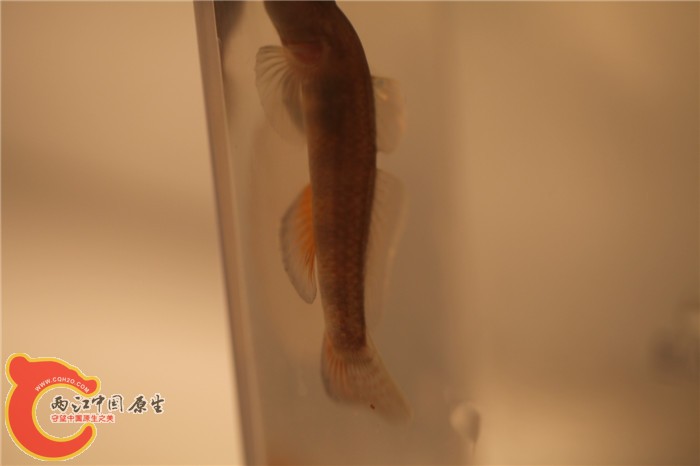 照片 021.jpg