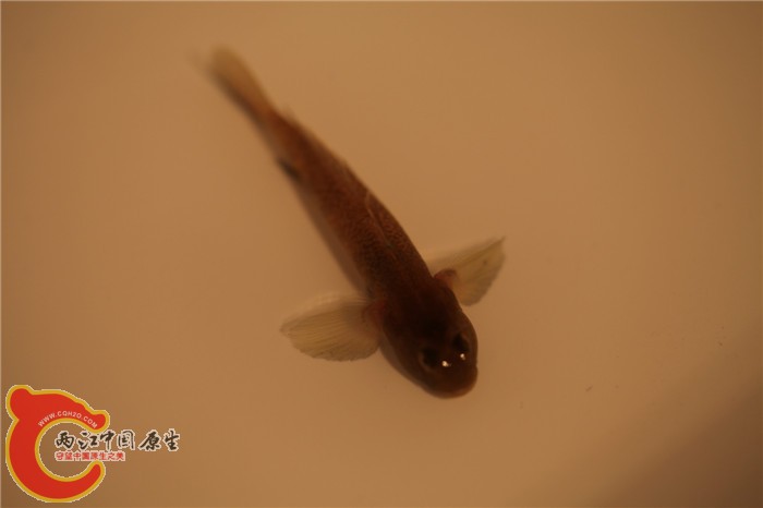 照片 026.jpg