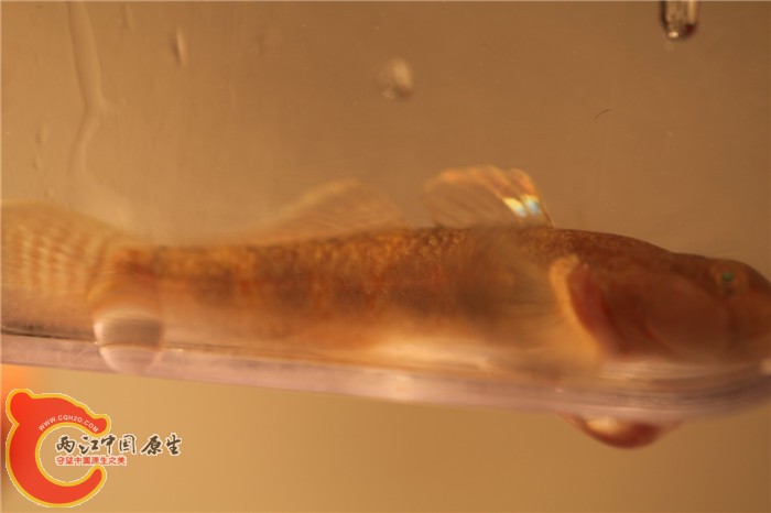 照片 039.jpg