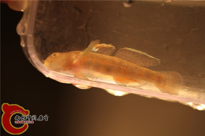 照片 057.jpg