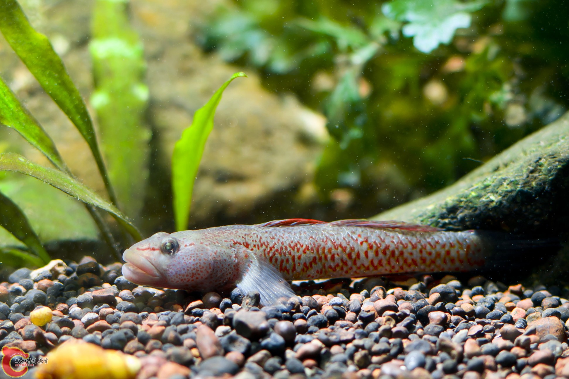 DSC_3462.jpg