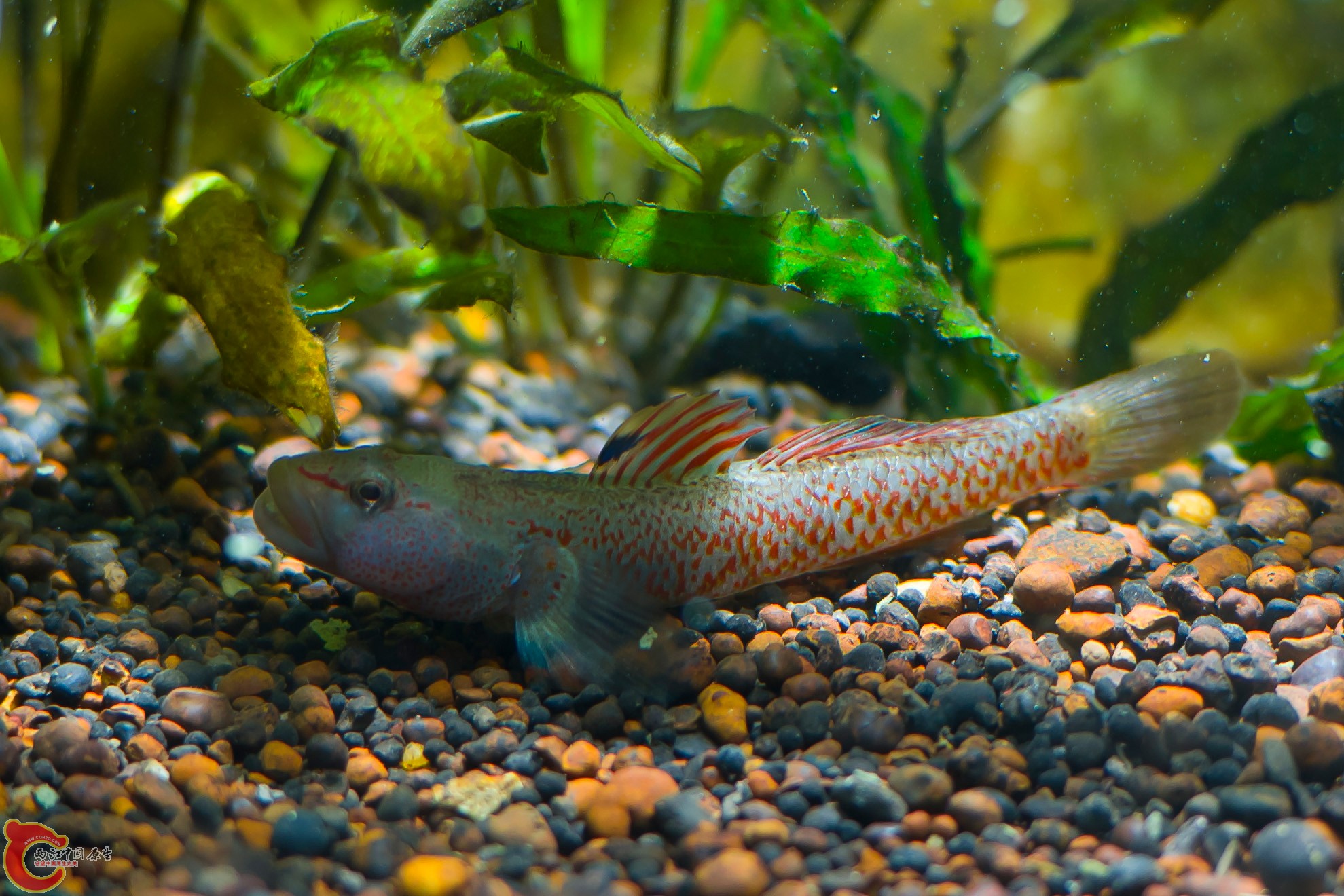 DSC_3479.jpg