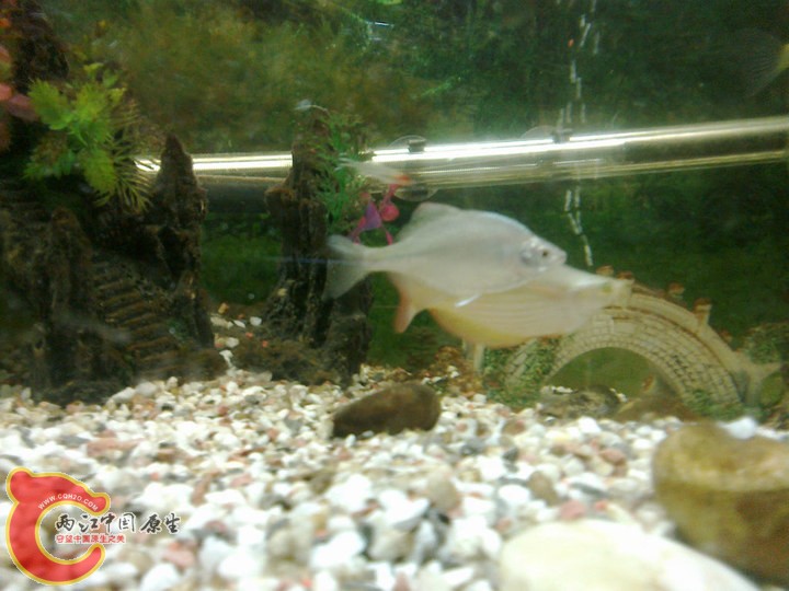 large_aR8y_67ff000146c31191.jpg