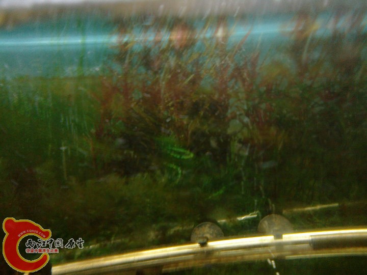 large_D6qA_47f300014658118f.jpg