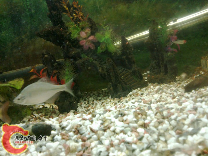 large_S7cF_5e7500007b47118e.jpg