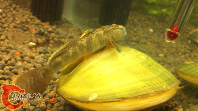 IMG_20130420_170358_副本.jpg