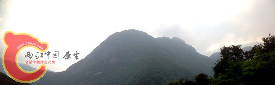 IMG_0134.JPG