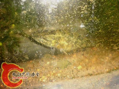 P9123238_副本.jpg