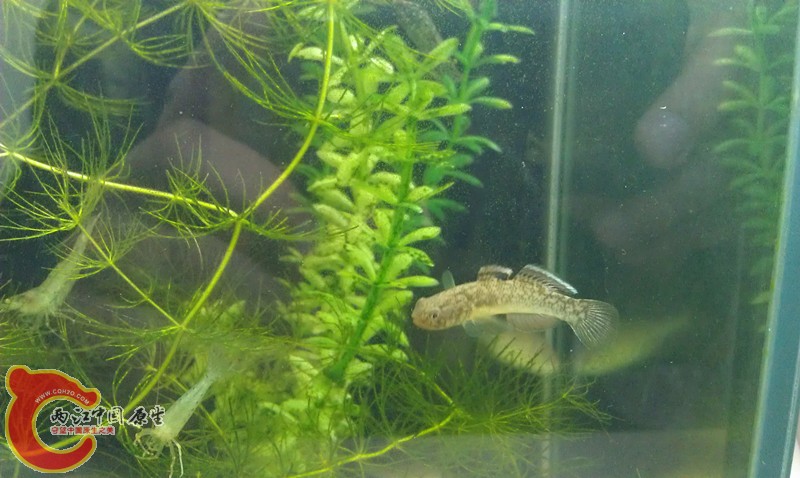 IMAG0445_副本.jpg