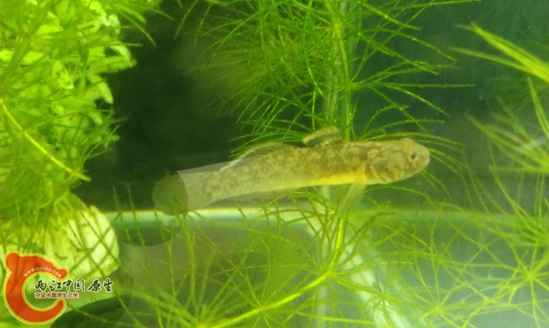 IMAG0446_副本.jpg