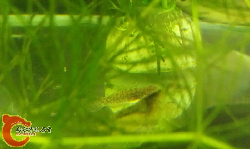 IMAG0455_副本.jpg