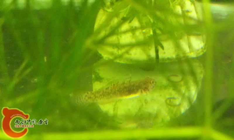 IMAG0456_副本.jpg