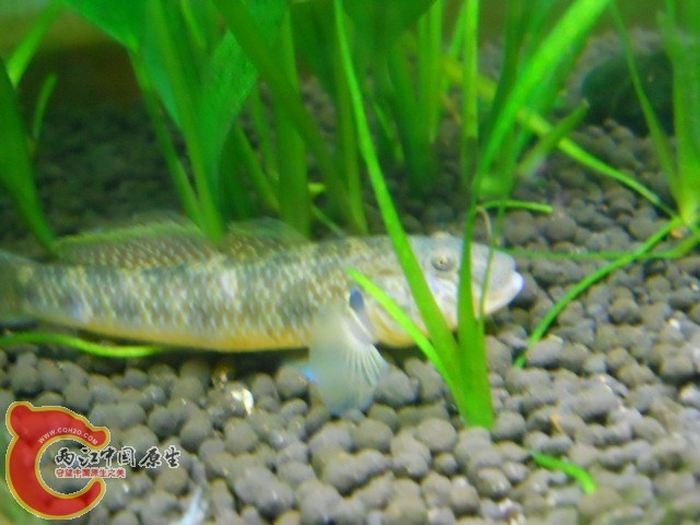 DSCN0072.JPG