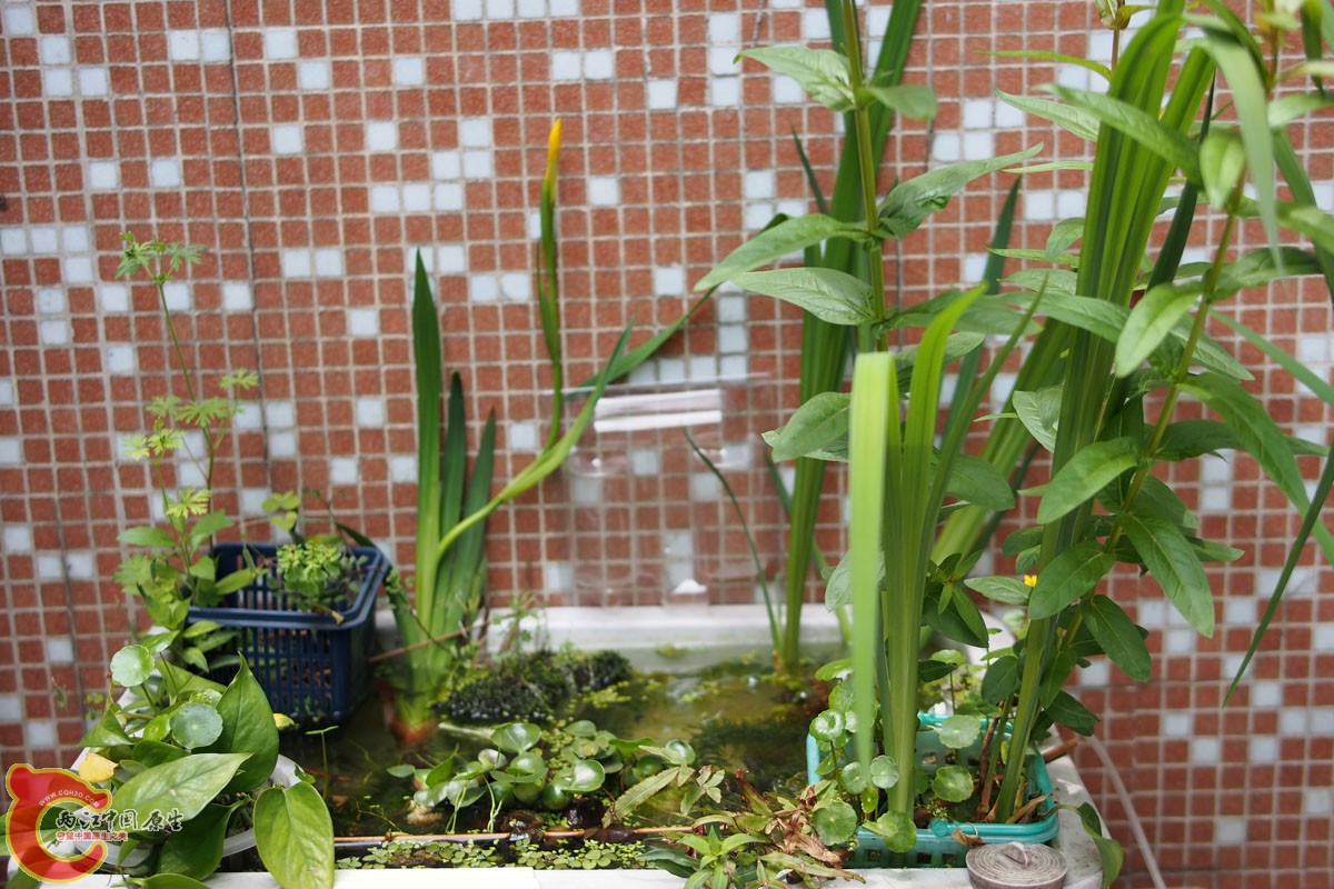 P4280158副本.jpg