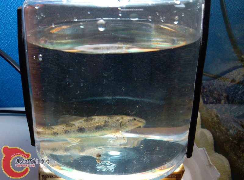 IMG_20130501_190906_副本.jpg