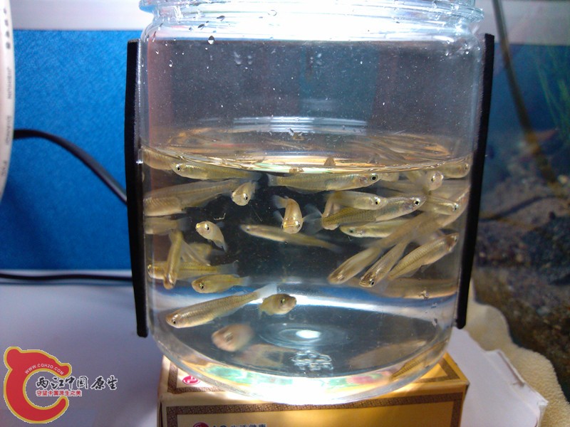 IMG_20130501_191742_副本.jpg