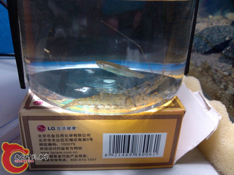 IMG_20130501_192237_副本.jpg