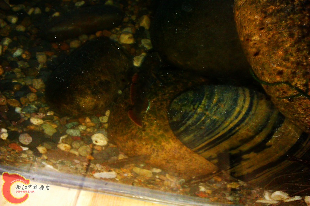 conew_imag0176.jpg