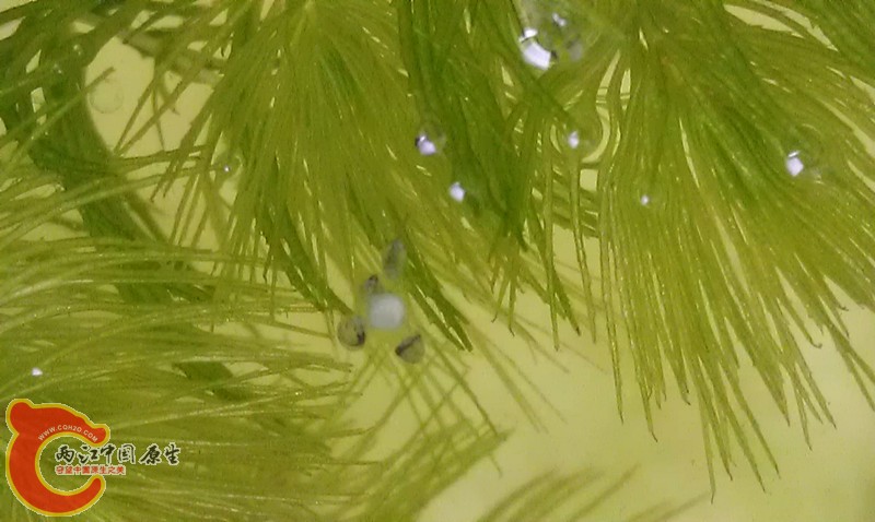 IMAG0581_副本.jpg