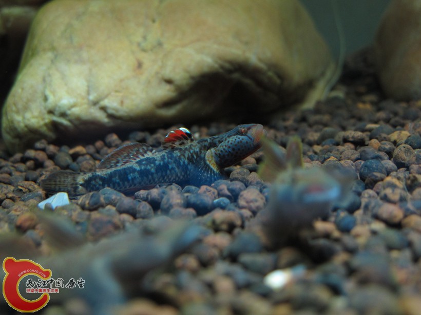 IMG_4298.jpg