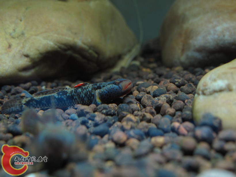 IMG_4299.jpg