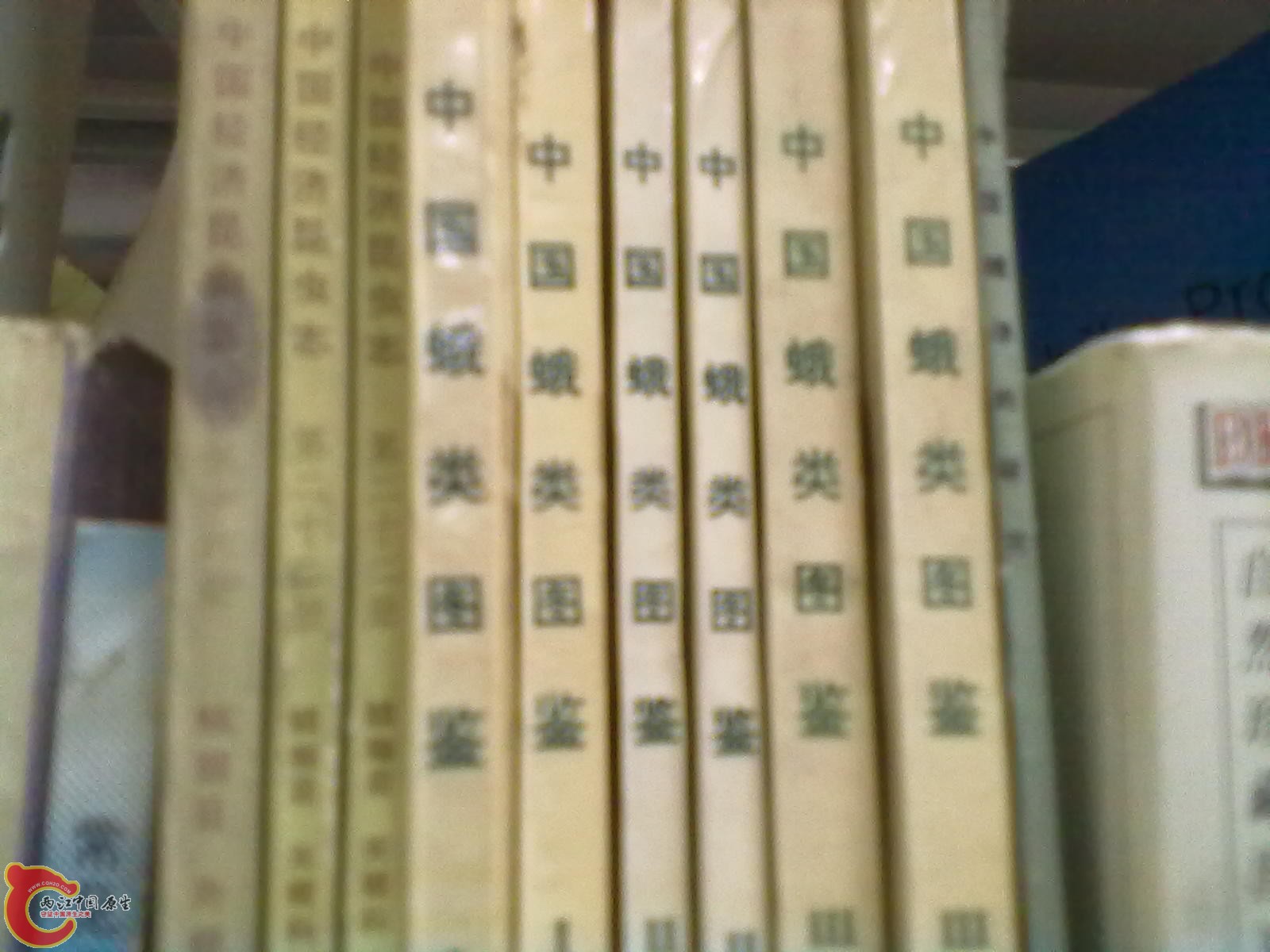 201305052292.jpg