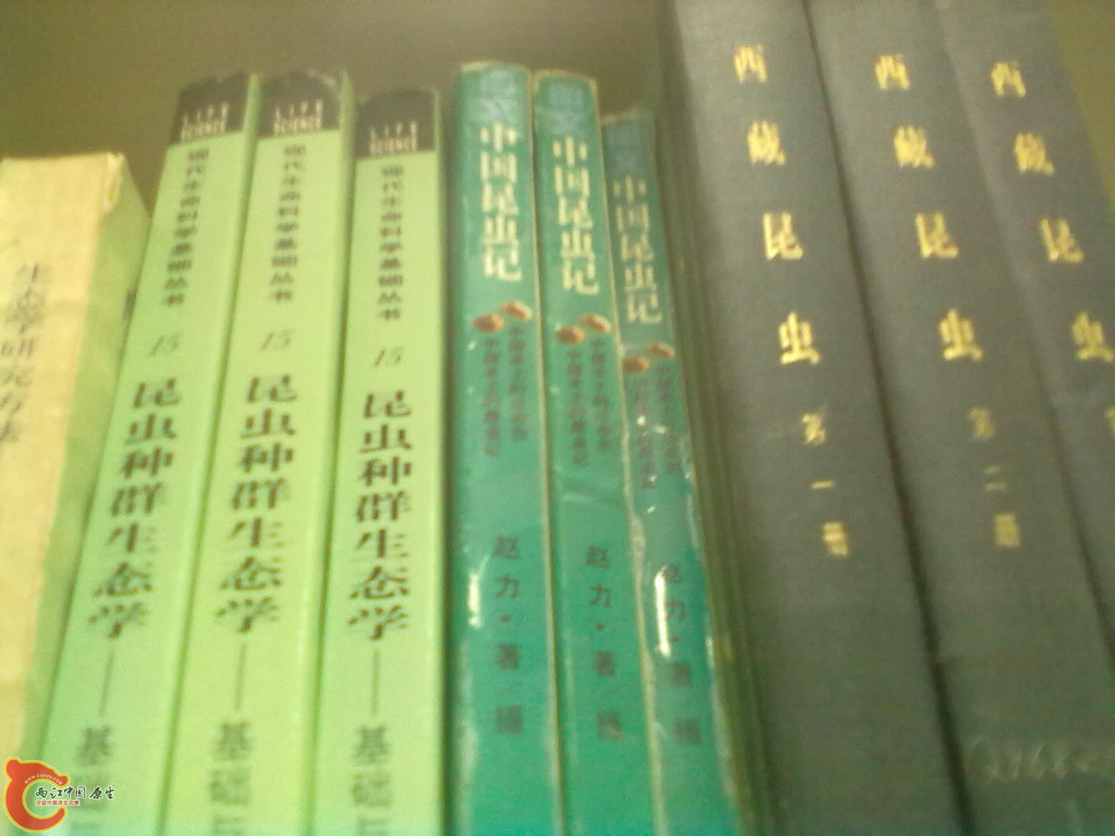 201305052294.jpg