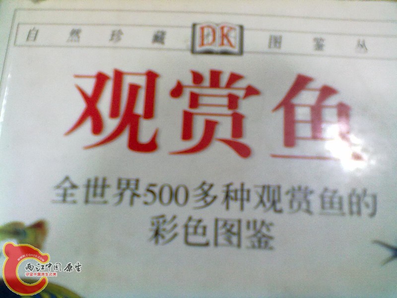 201305052276_副本.jpg